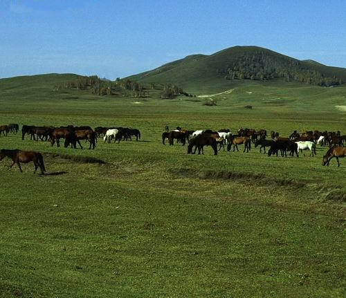 image009.jpg